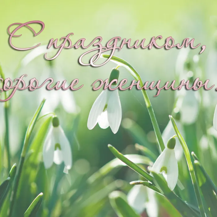 С Днём 8 Марта!!!